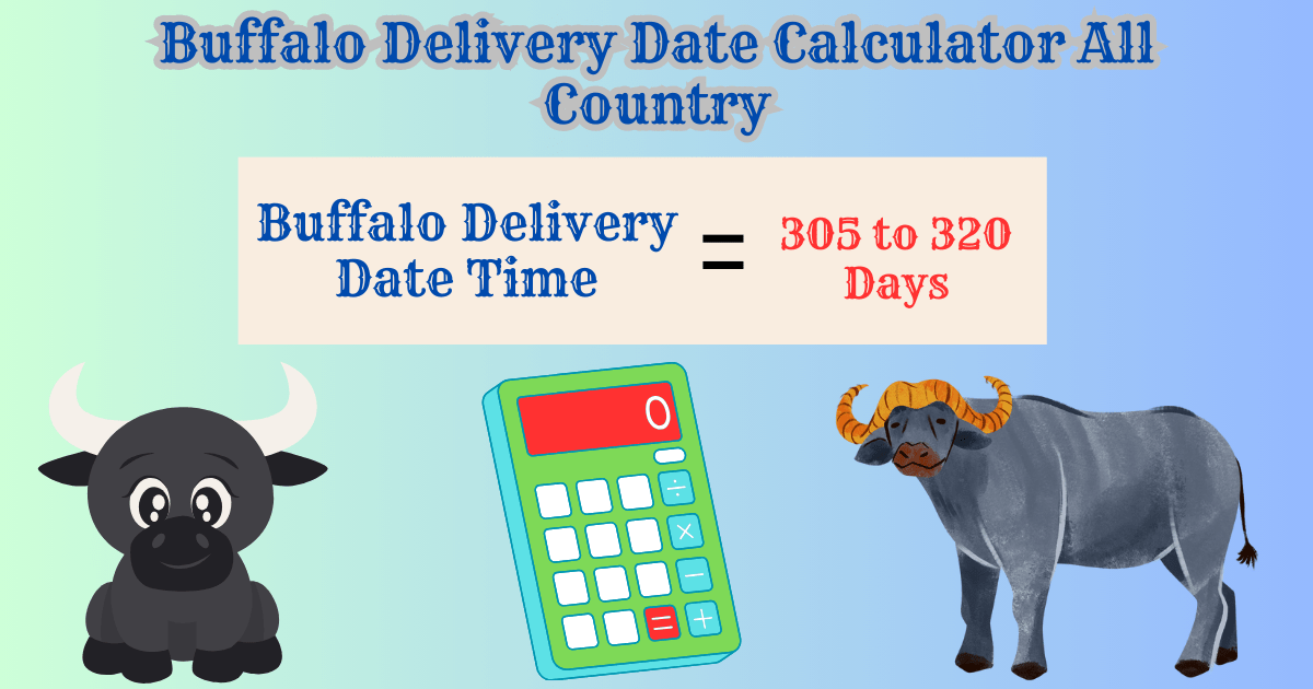 Buffalo Pregnancy Calculator || Buffalo Delivery Date Calculator || Buffalo Delivery Date Calculator India || Buffalo Baby Delivery Time || Buffalo Baby Delivery Time Calculator || Buffalo Pregnancy Time Calculator || Buffalo Pregnancy Calculator || Indian buffalo pregnancy calculator || buffalo gestation calculator || Buffalo pregnancy calculator usa by week || Buffalo pregnancy calculator for all country || Indian buffalo pregnancy calculator by week || buffalo delivery time caculator || buffalo delivery time caculator south africa || buffalo international delivery time calculator